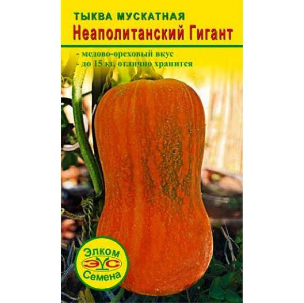 

Семена Тыква мускатная Неаполитанский Гигант, 5 шт, Элком Семена, 176103