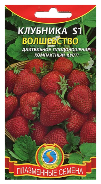 

Семена Земляника Волшебство S1, 10 шт, Плазмас