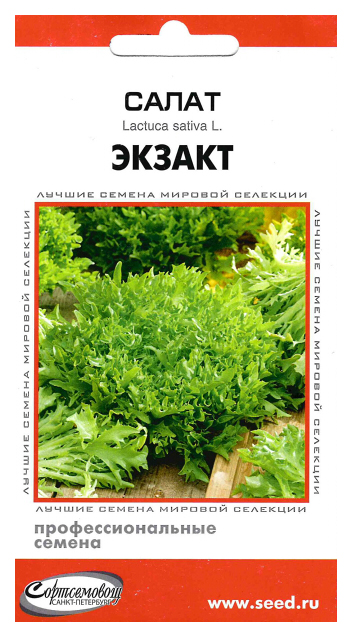 

Семена Салат Экзакт, 10 шт, Дом семян