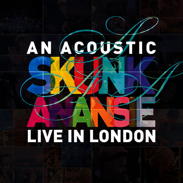 

Skunk Anansie An Acoustic Skunk Anansie Live In London (RU)(CD+DVD)