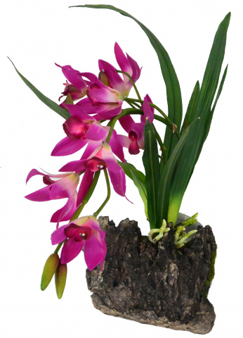 фото Искусственное растение для террариума lucky reptile orchid purple, пластик, 40см