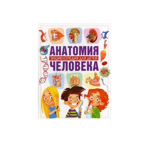 Книга Анатомия Человека 100024734000