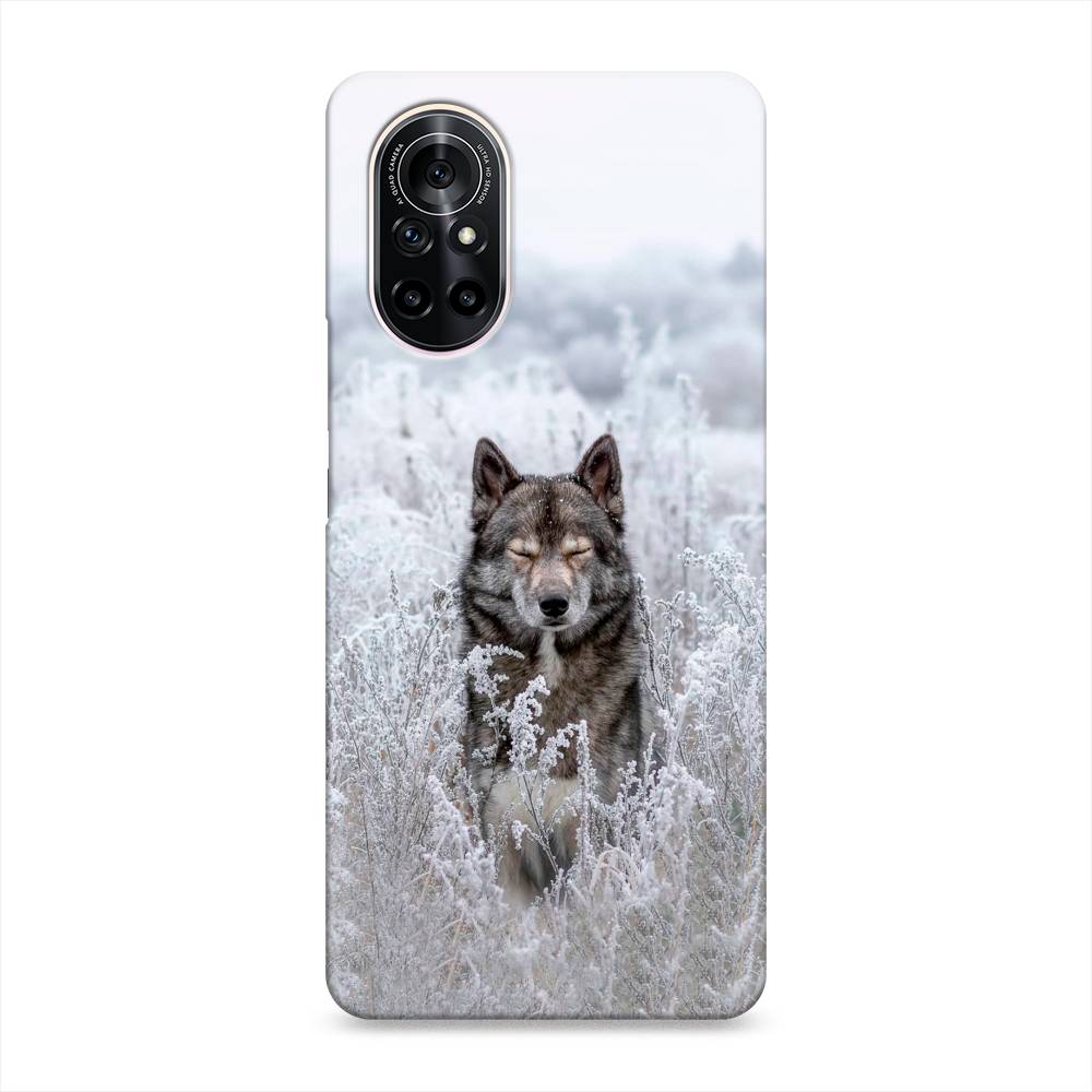 

Чехол Awog "Волк в поле" для Huawei Nova 8, 6105720-1