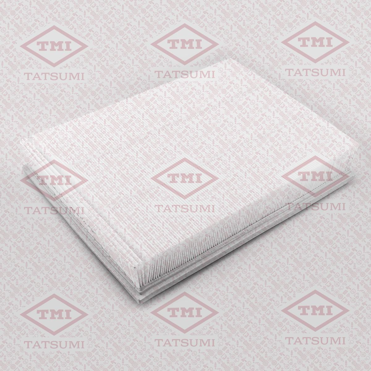

Фильтр воздушный двигателя Tatsumi tbc1106