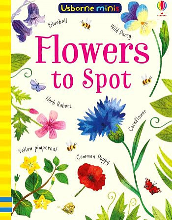 

Usborne Minis: Flowers to Spot