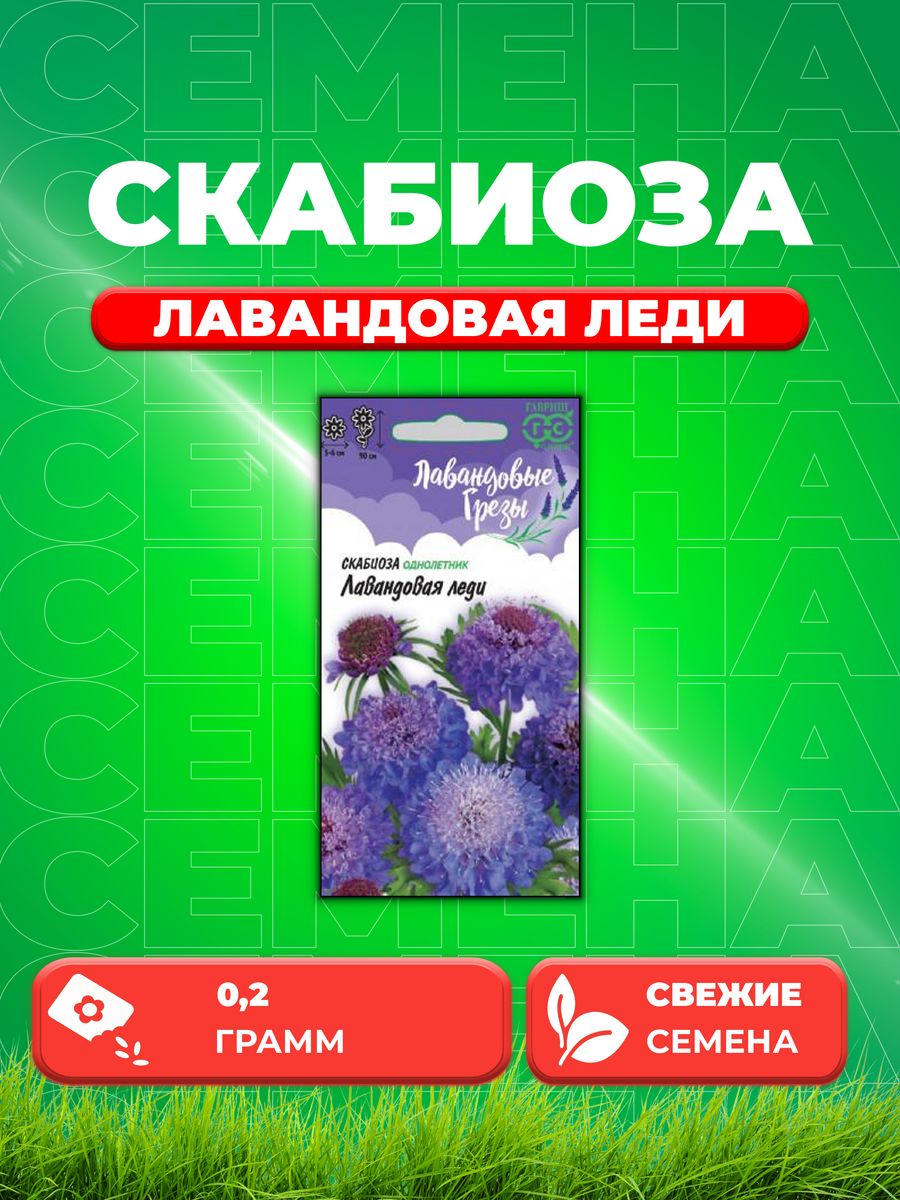 

Семена скабиоза Гавриш Лавандовая Леди 1026995017-1 1 уп.