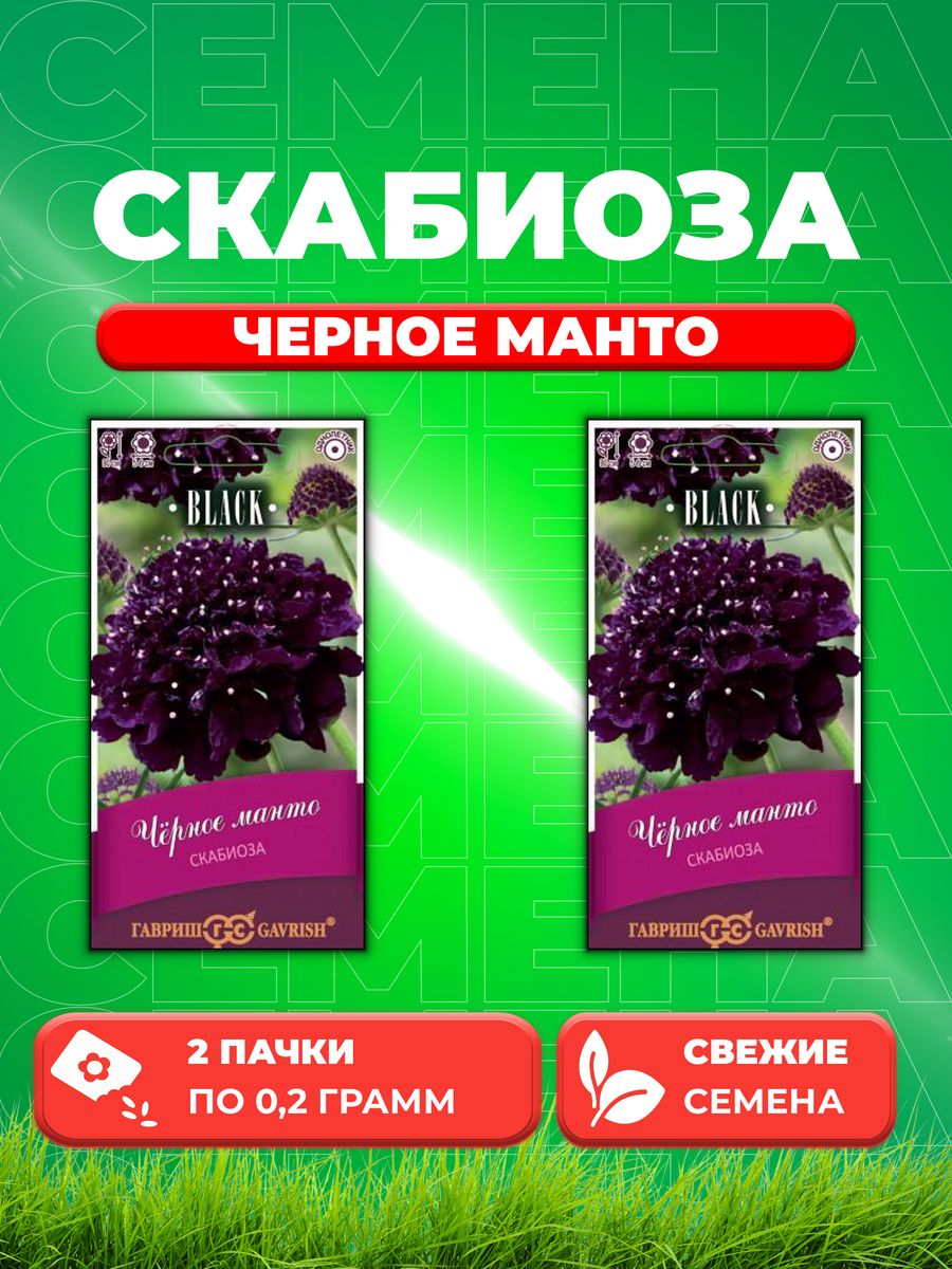 

Семена Скабиоза пурпурная Чёрное манто, махр. 0,2г серия Блэк (2уп)