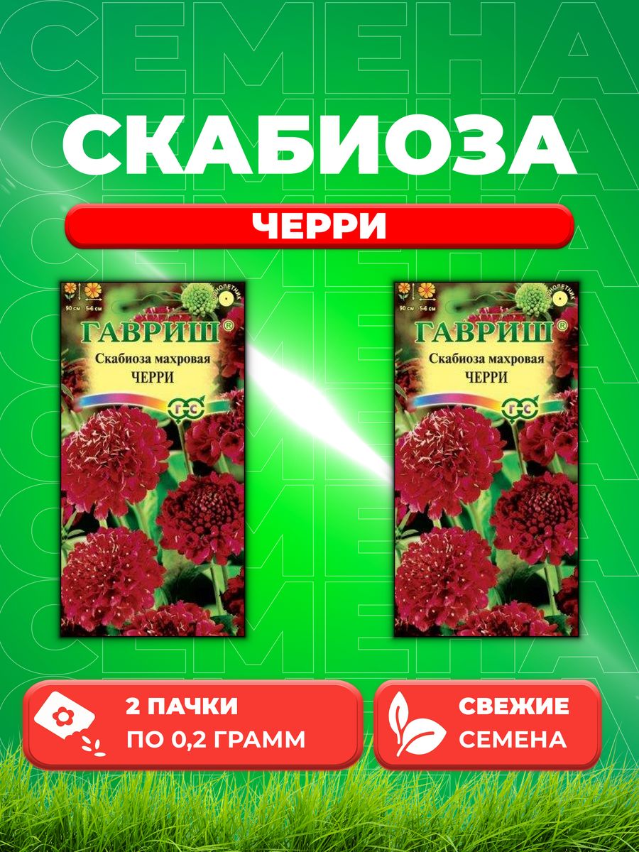 

Семена Скабиоза пурпурная Черри, махр. 0,2 г (2уп)