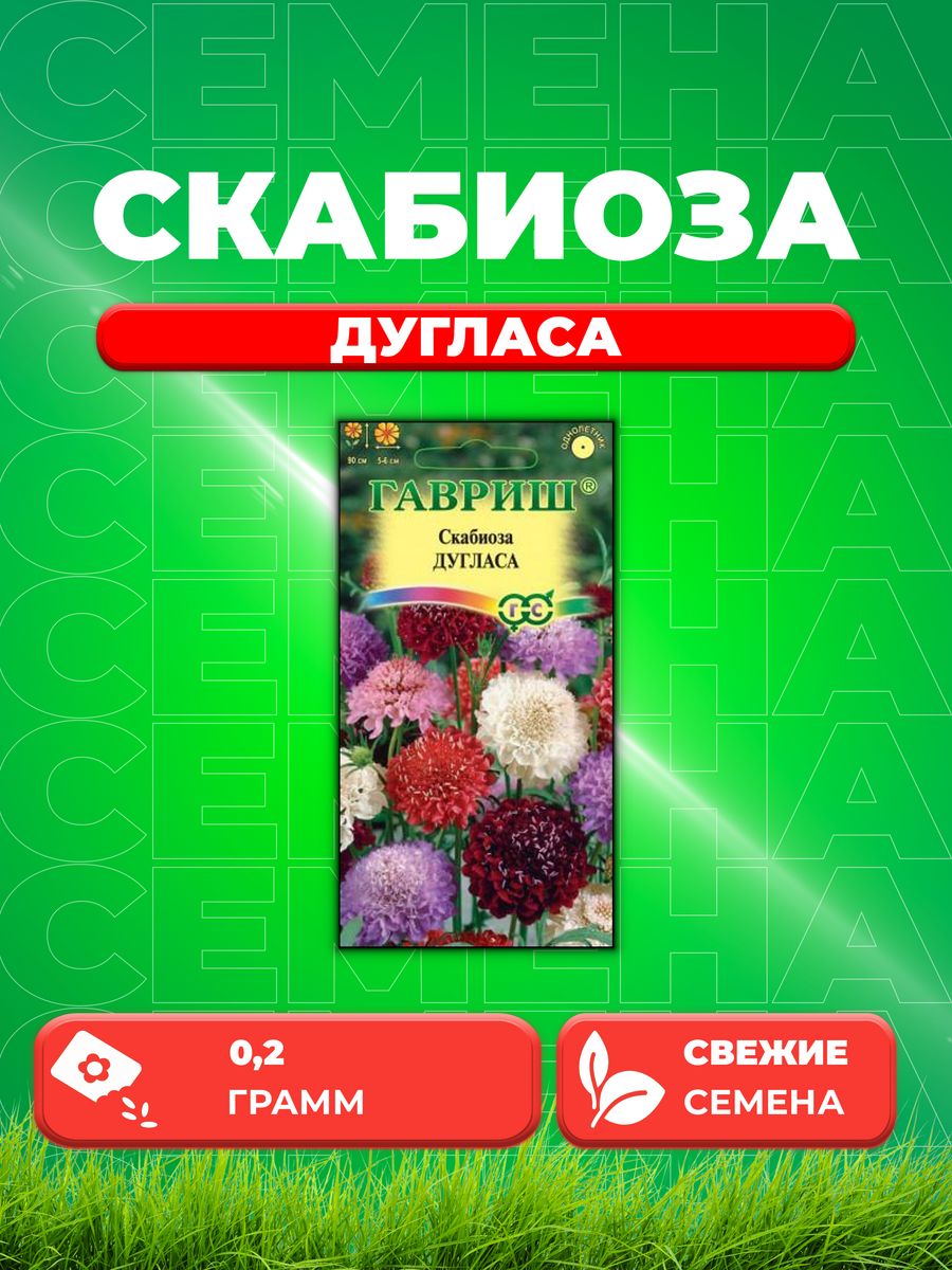 

Семена скабиоза Гавриш Дугласа 1026995021-1 1 уп.