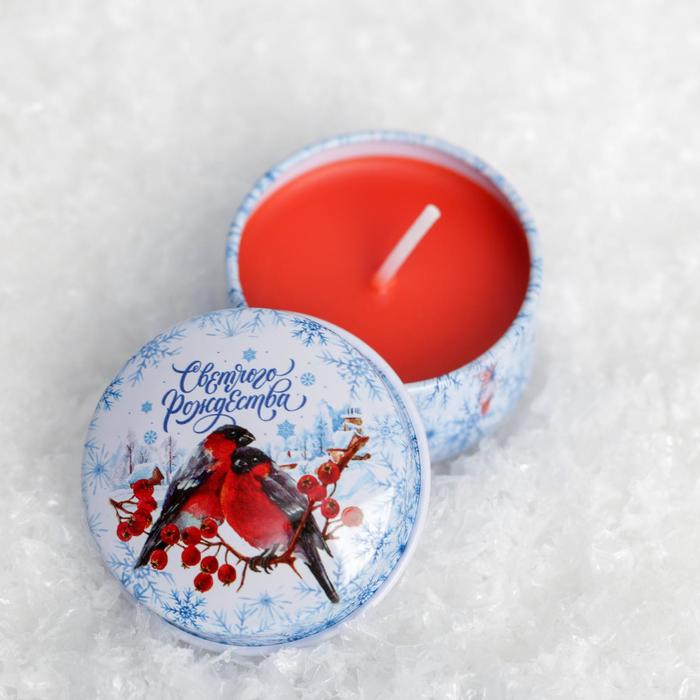 

Зимнее волшебство Свеча в железной банке «Снегири», 2.5 х 5 см