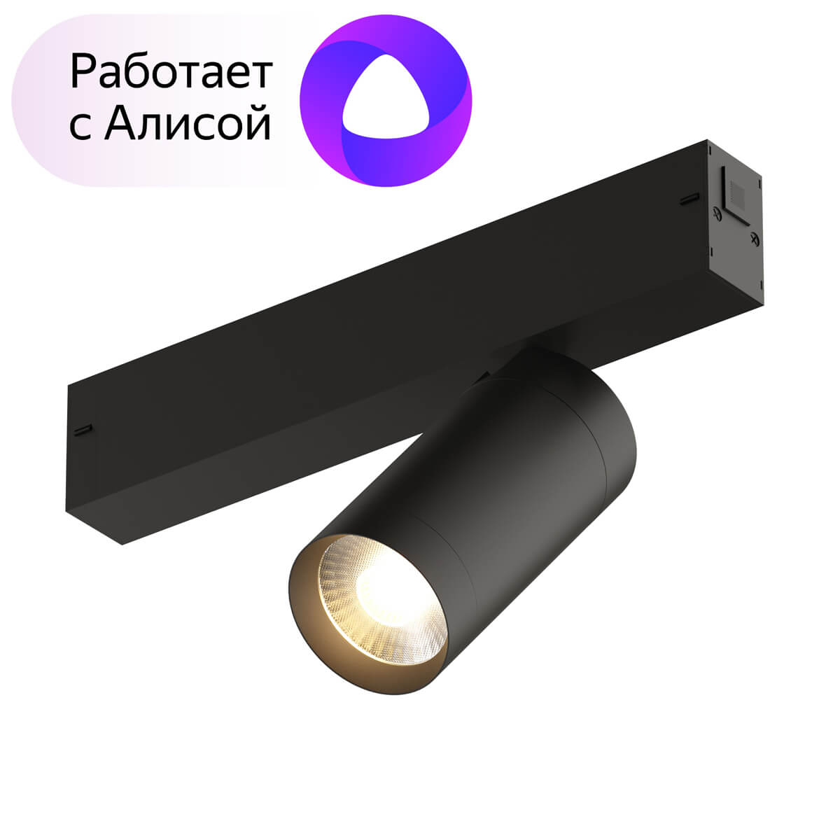 

Светильник трековый, спот Denkirs Smart, DK8010-BK, 9W, LED