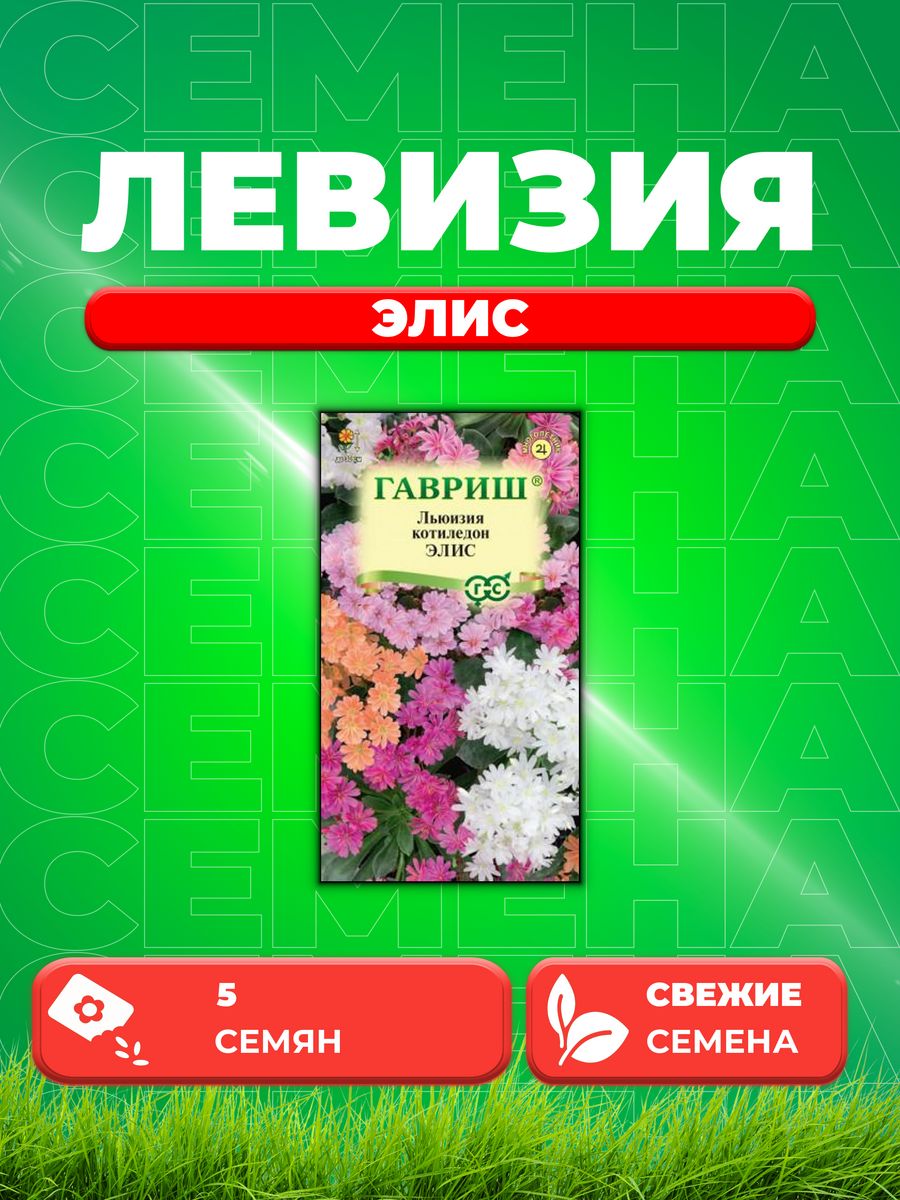 

Семена Левизия (туполистная) Элис 5 шт.