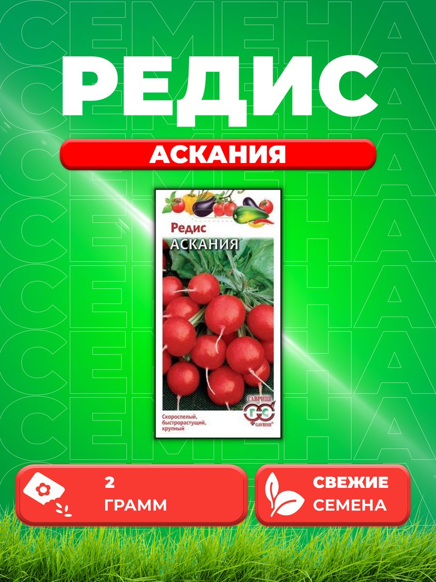 

Семена редис Гавриш Аскания 1026995746-1 1 уп.