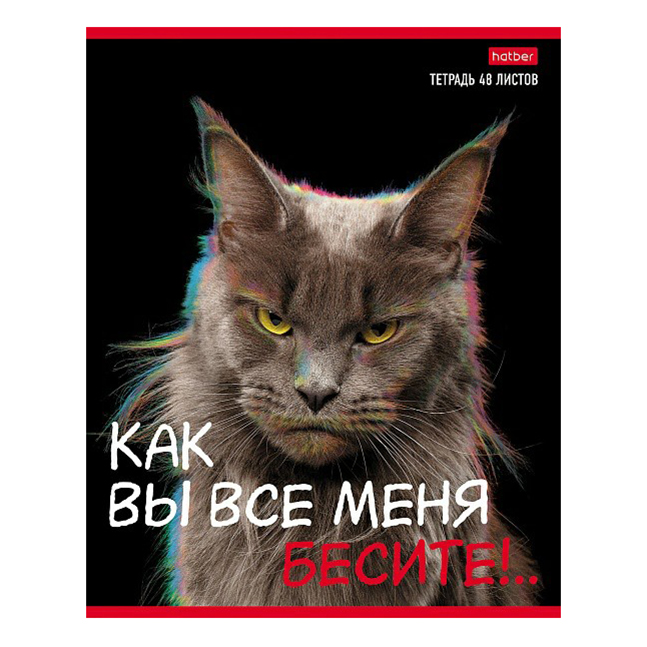 

Тетрадь общая Hatber Вы все меня бесите 48 листов А5 на скобе в клетку в ассортименте
