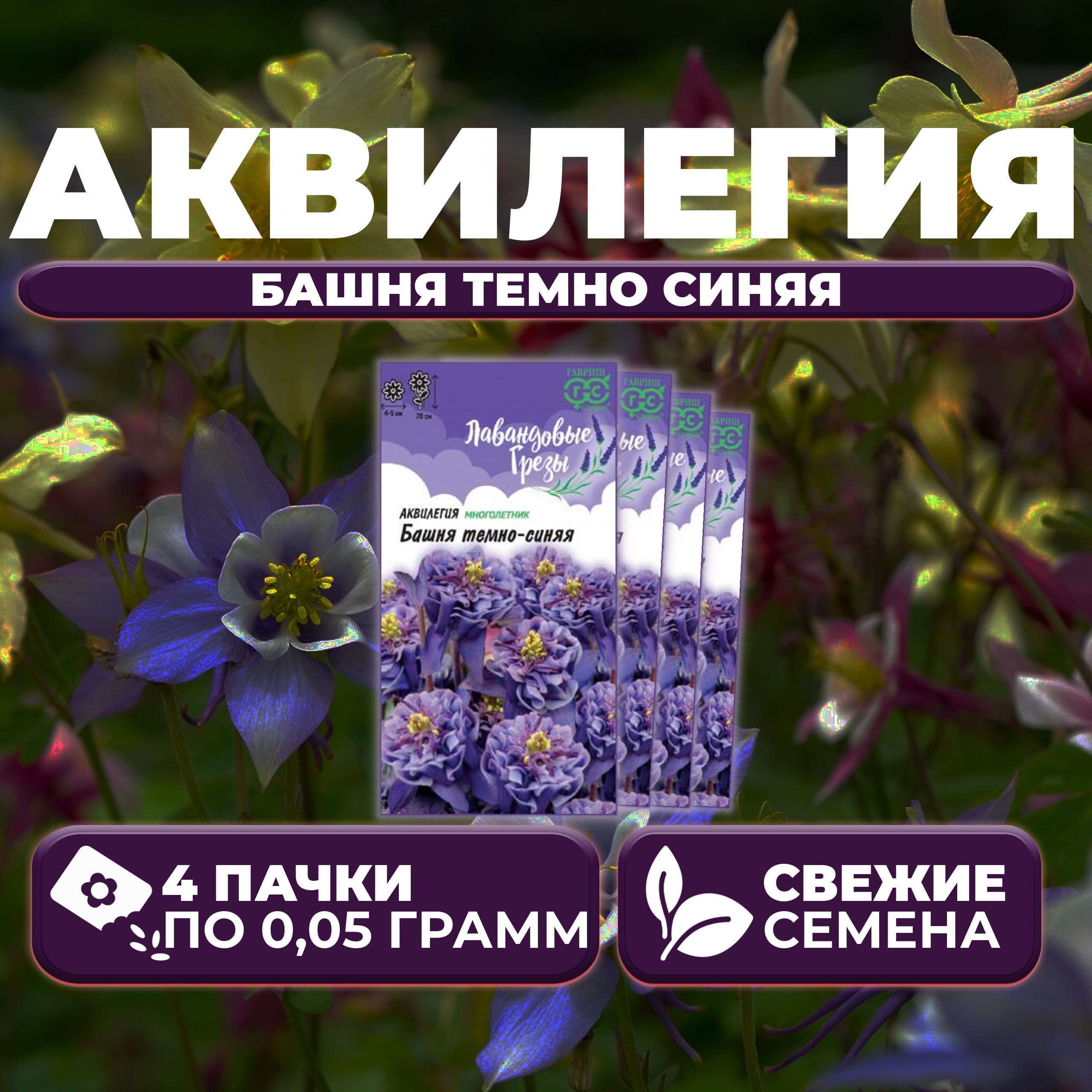 

Семена Аквилегия Башня темно синяя, 0,05г, Гавриш, Лавандовые грезы (4 уп)