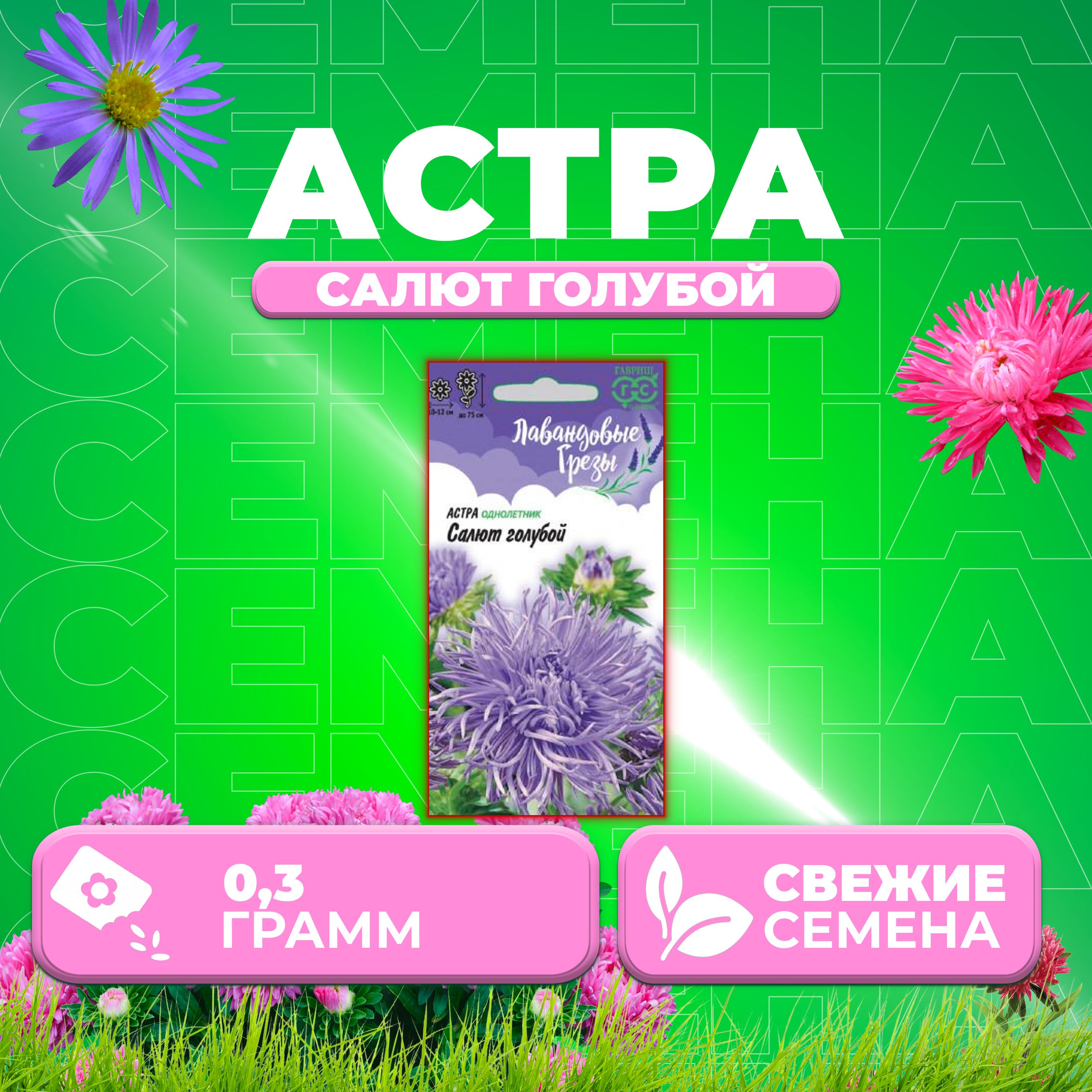 

Семена Астра Салют голубой, коготковая, 0,3г, Гавриш, Лавандовые грезы (1 уп)
