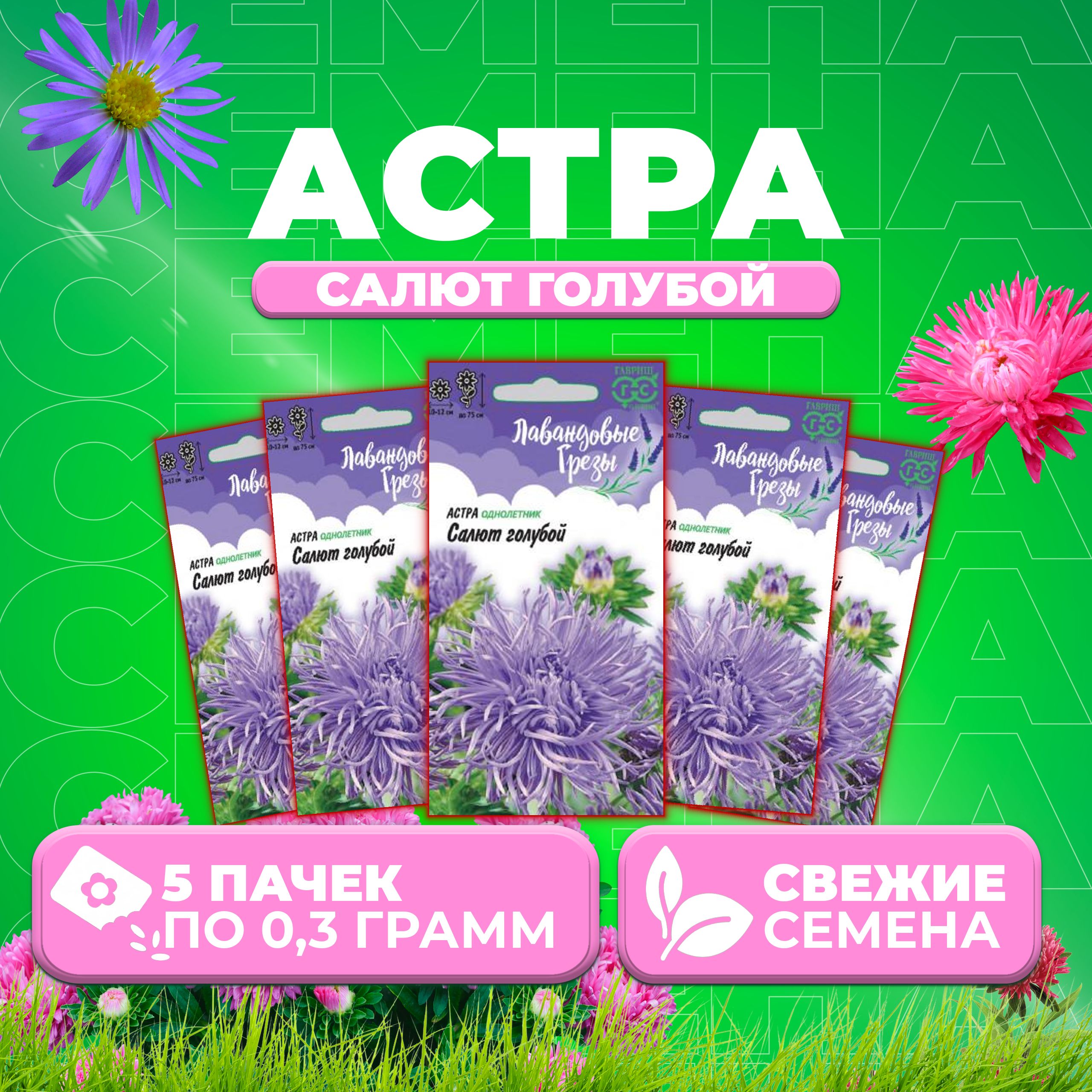 

Семена Астра Салют голубой, коготковая, 0,3г, Гавриш, Лавандовые грезы (5 уп)