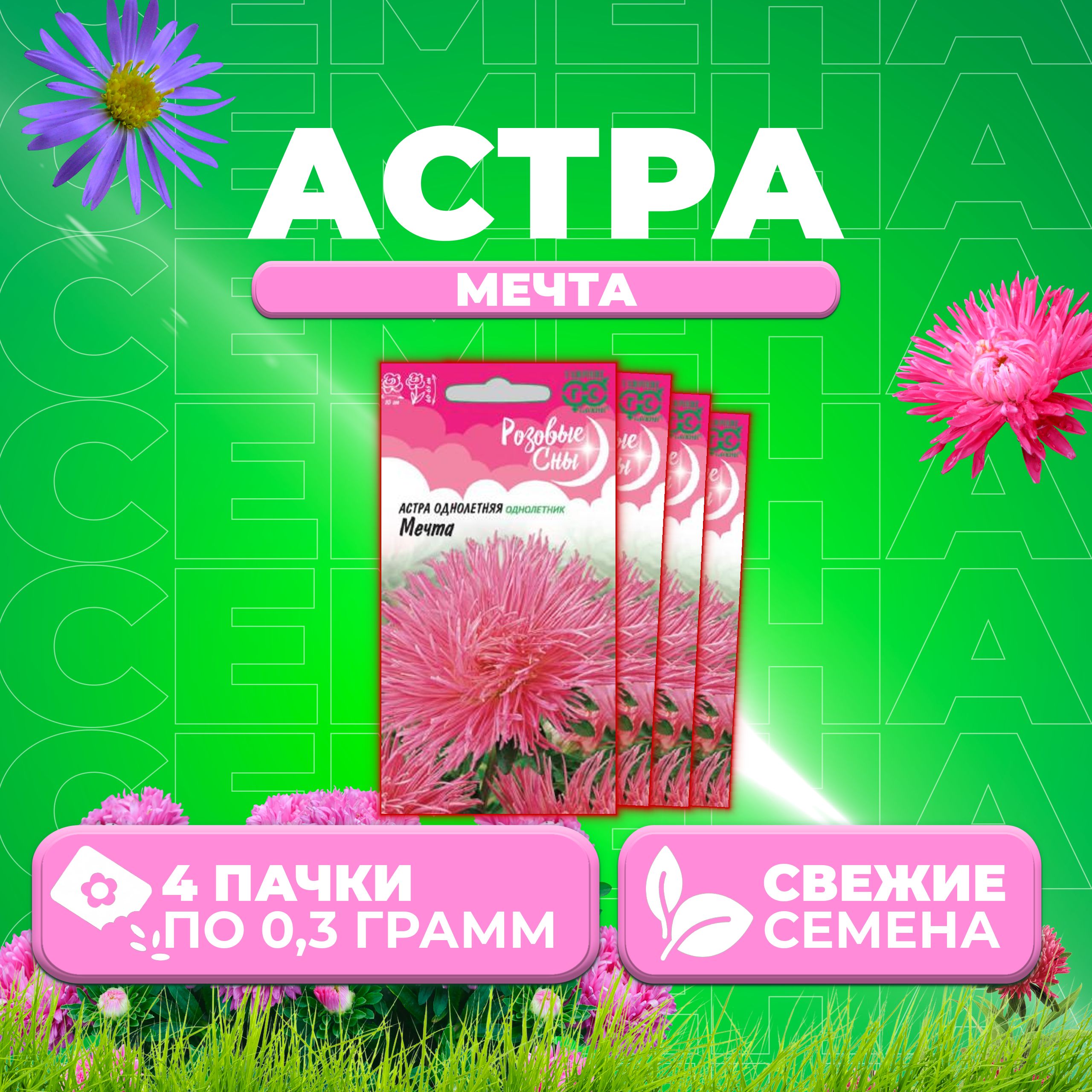 

Семена Астра Мечта, игольчатая, 0,3г, Гавриш, Розовые сны (4 уп)