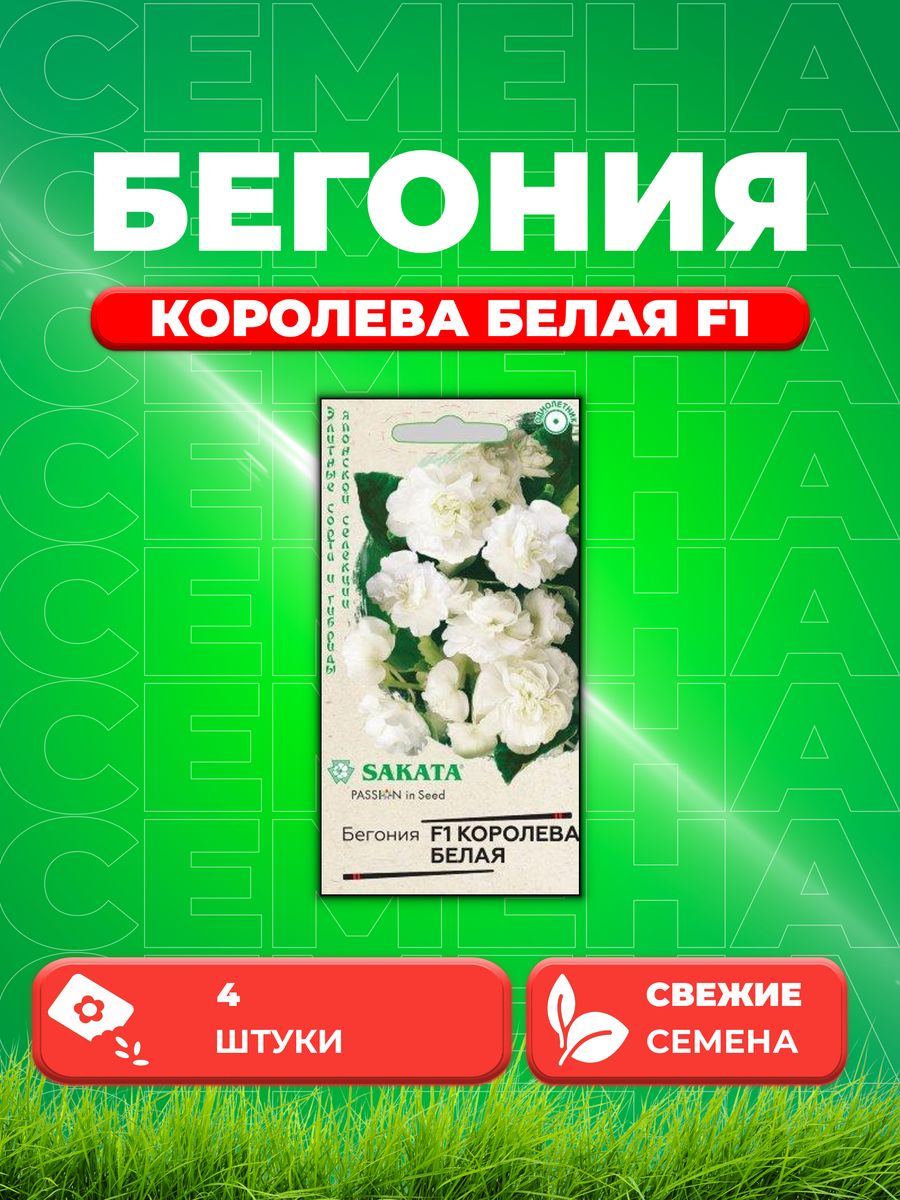 

Семена Бегония Королева белая F1 вечноцв. 4 шт.Саката