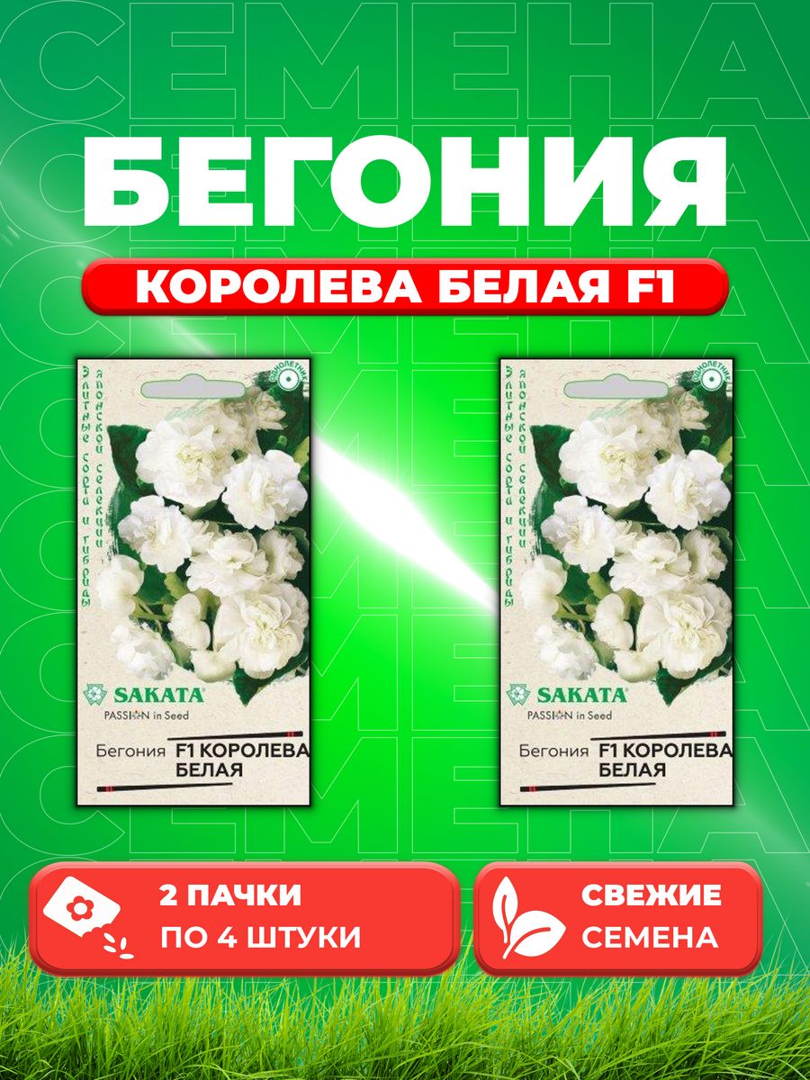 

Семена Бегония Королева белая F1 вечноцв. 4 шт.Саката (2уп)