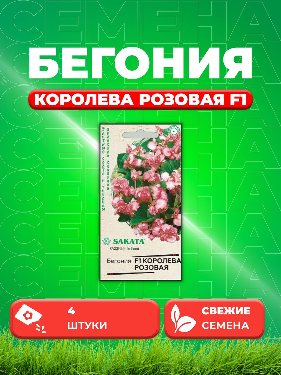

Семена Бегония Королева розовая F1 вечноцв. 4 шт.Саката