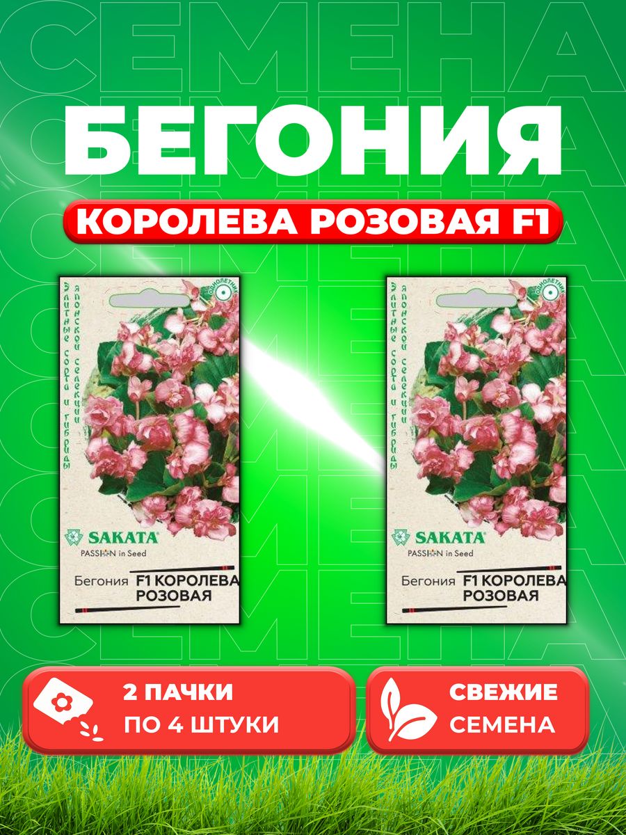 

Семена Бегония Королева розовая F1 вечноцв. 4 шт.Саката (2уп)