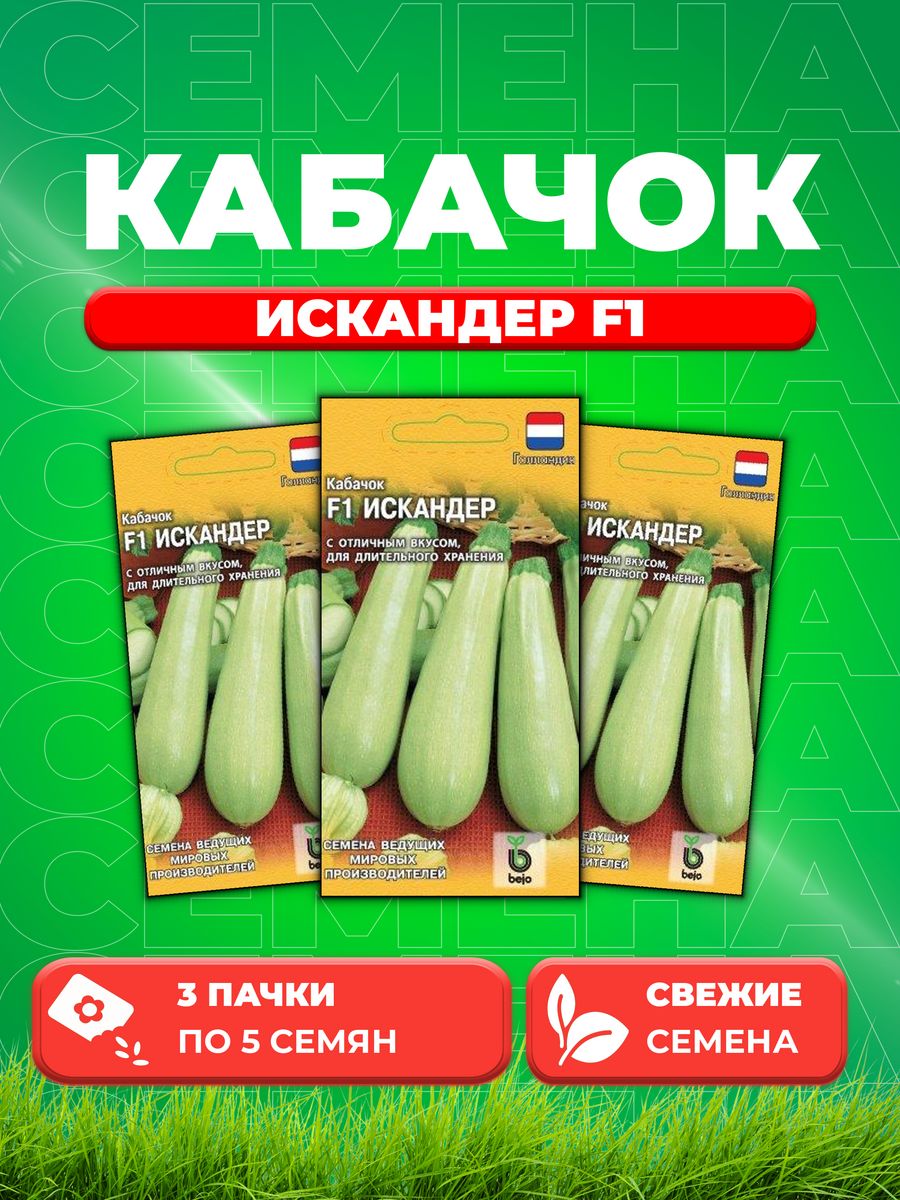 

Семена Кабачок Искандер F1 5 шт. (Голландия) DHп (3уп)