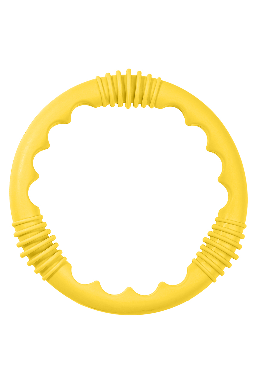 Игрушка Diving Ring