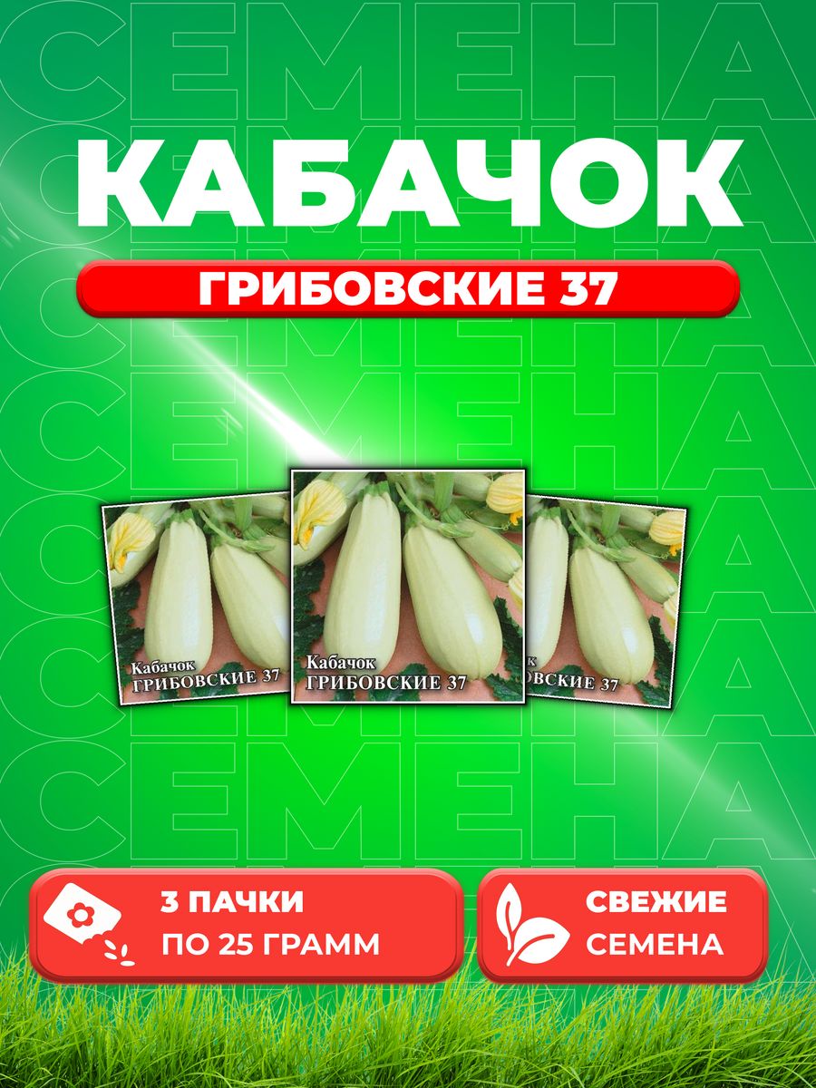 

Семена кабачок Грибовские 37 Гавриш 1026996719-3 3 уп.