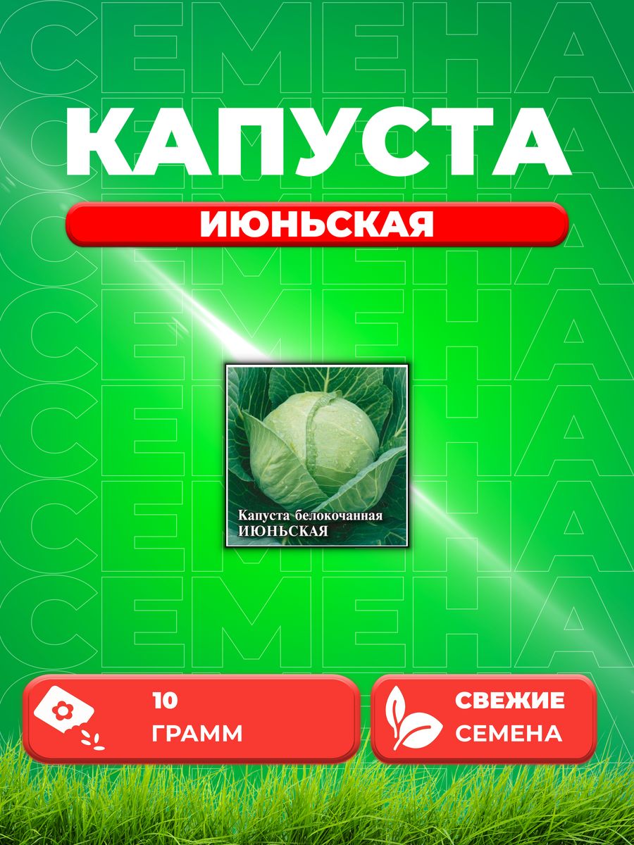 

Семена Капуста белокоч. Июньская 10,0 г (ранняя)