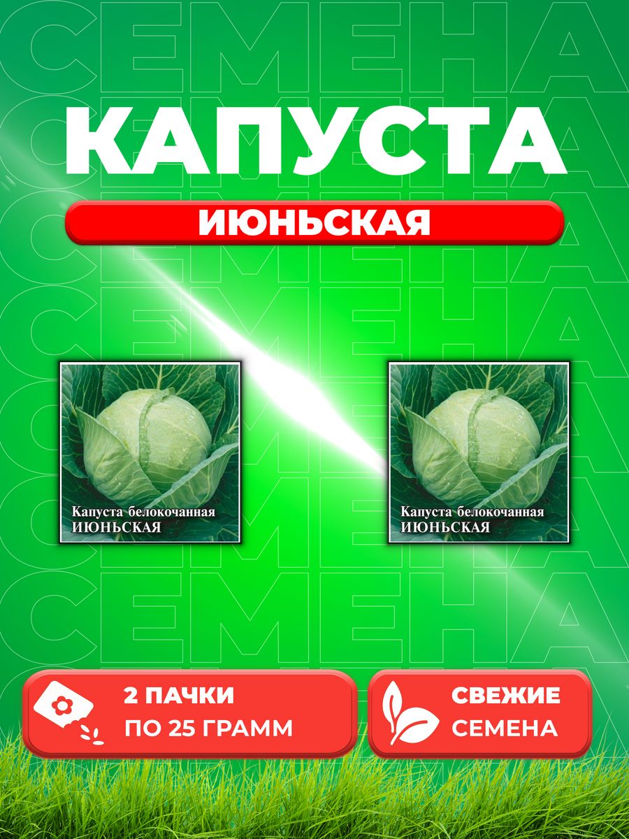 

Семена капуста белокочанная Июньская Гавриш 1026996731-2 2 уп.