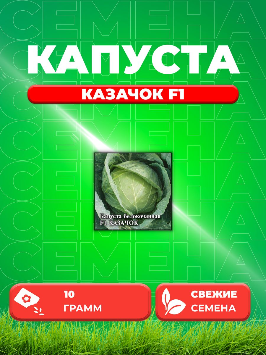 

Семена капуста белокочанная Казачок F1 Гавриш 1026996732-1 1 уп.