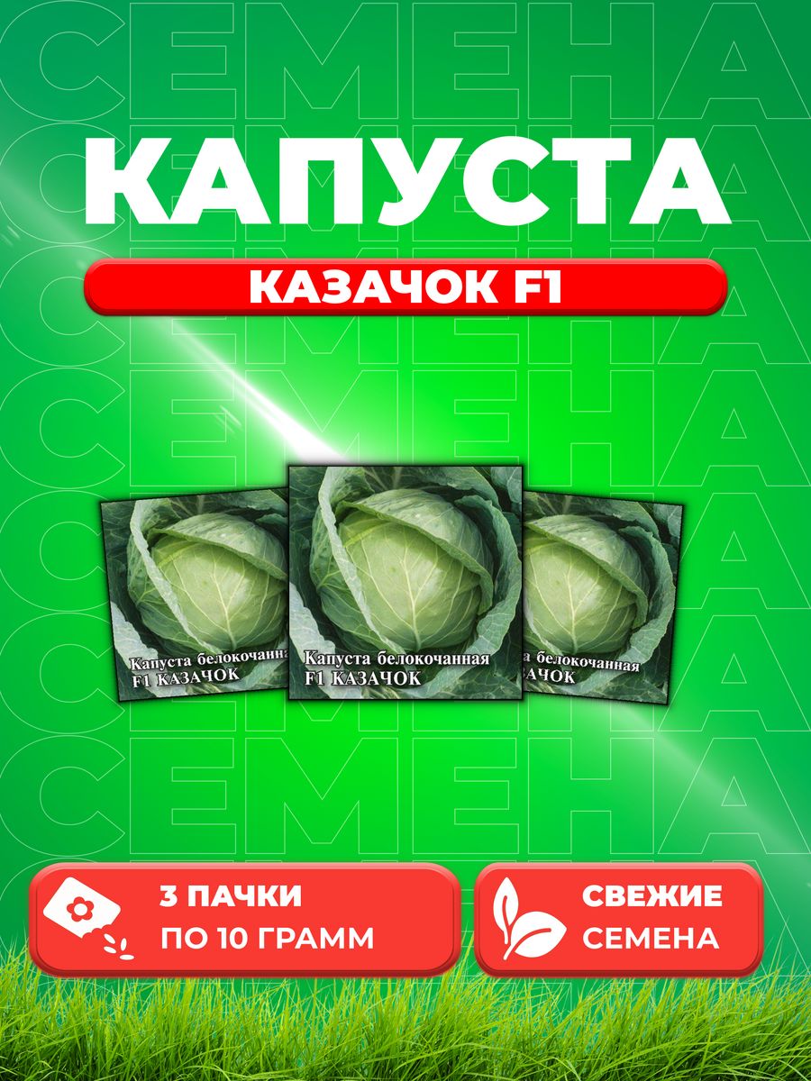 

Семена капуста белокочанная Казачок F1 Гавриш 1026996732-3 3 уп.