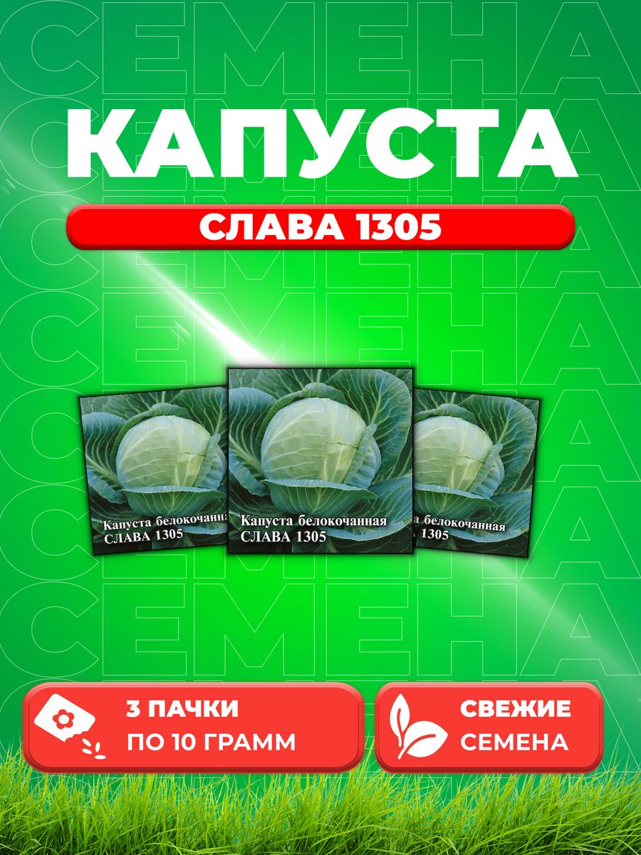 

Семена капуста белокочанная Слава 1305 Гавриш 1026996740-3 3 уп.