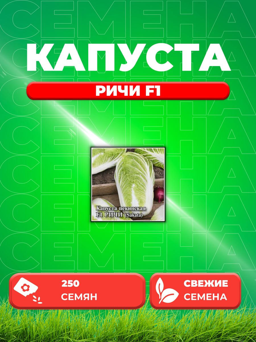 

Семена Капуста пекинская Ричи F1, 250шт, Гавриш