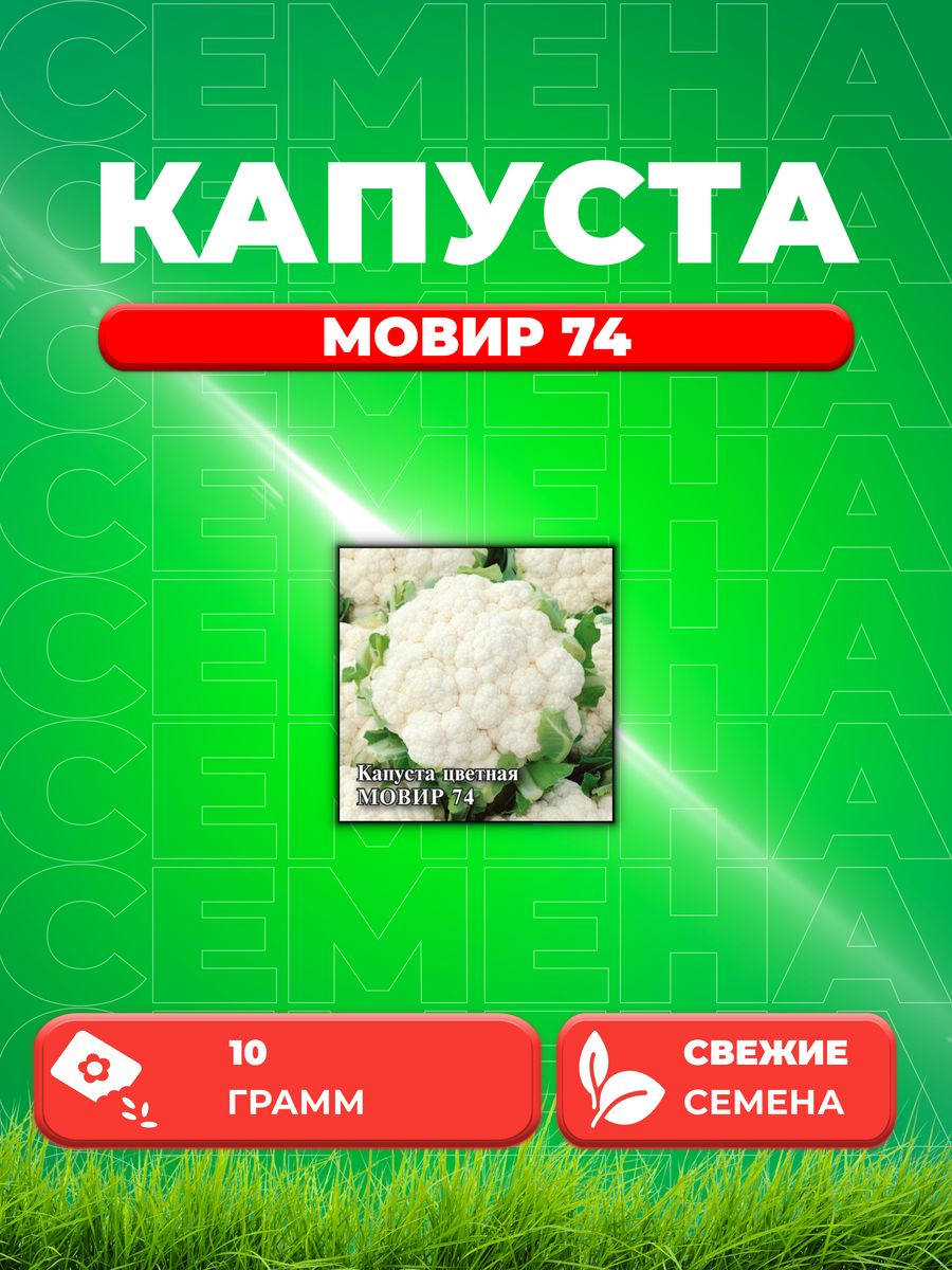 

Семена капуста цветная Мовир 74 Гавриш 1026996747-1 1 уп.