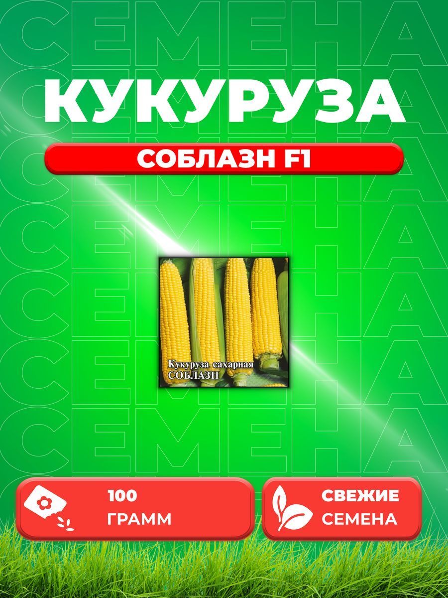 

Семена Кукуруза Соблазн F1 сахарная 100,0 г