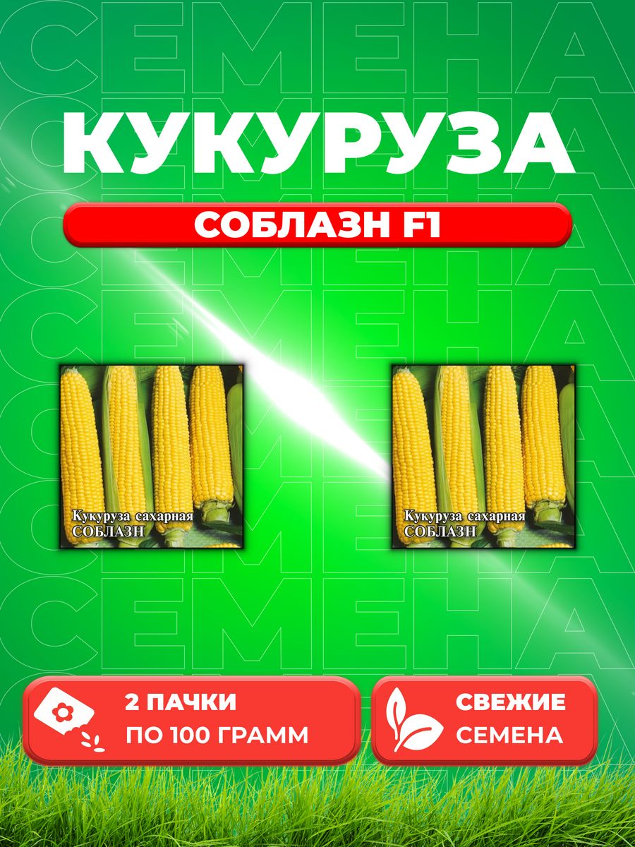 

Семена Кукуруза Соблазн F1 сахарная 100,0 г (2уп)