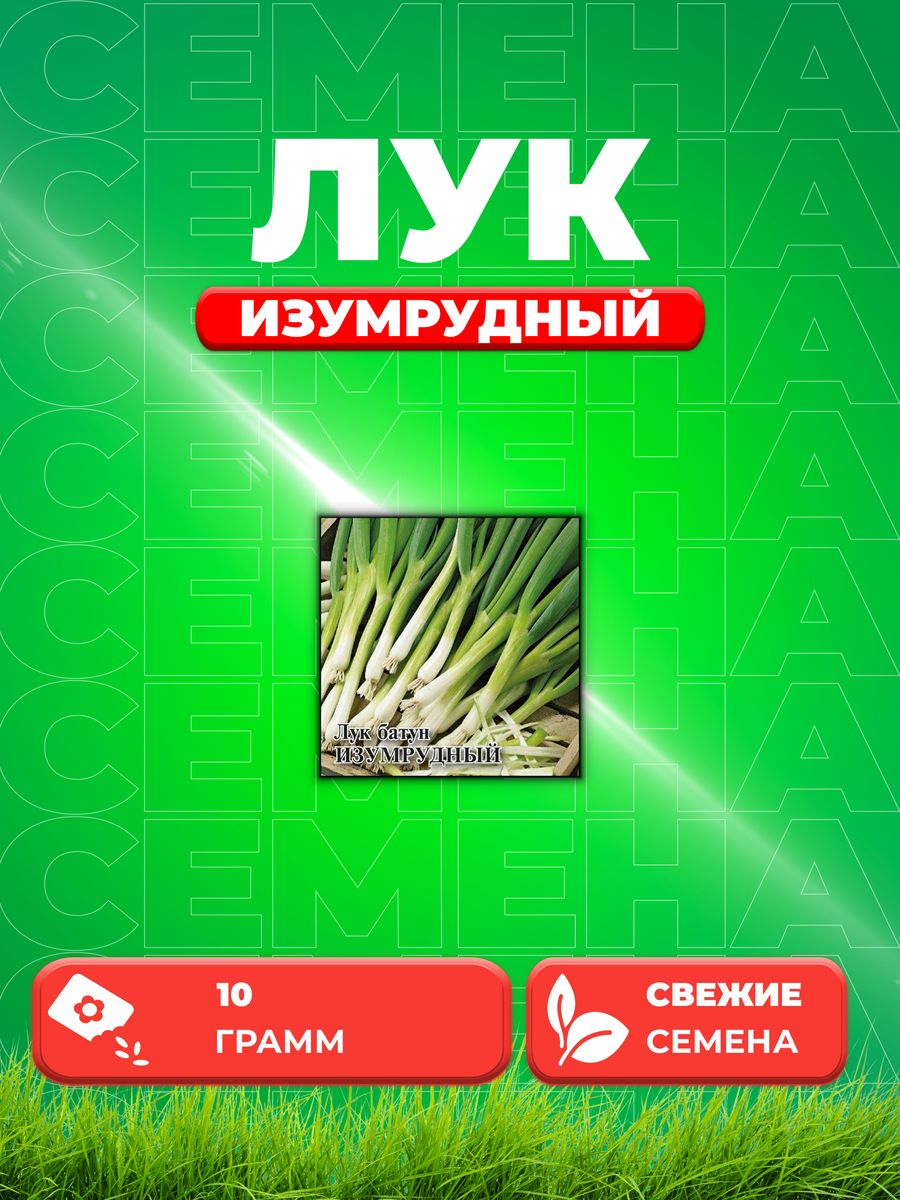 

Семена Лук батун Изумрудный, на зелень 10,0 г