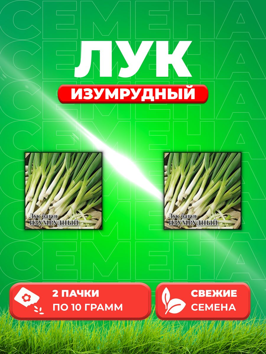 

Семена Лук батун Изумрудный, на зелень 10,0 г (2уп)
