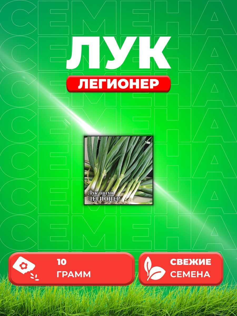 

Семена Лук батун Легионер 10,0 г