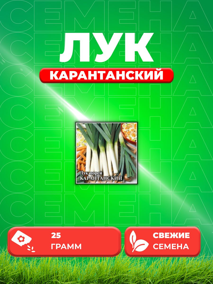 

Семена Лук порей Карантанский 25,0 г