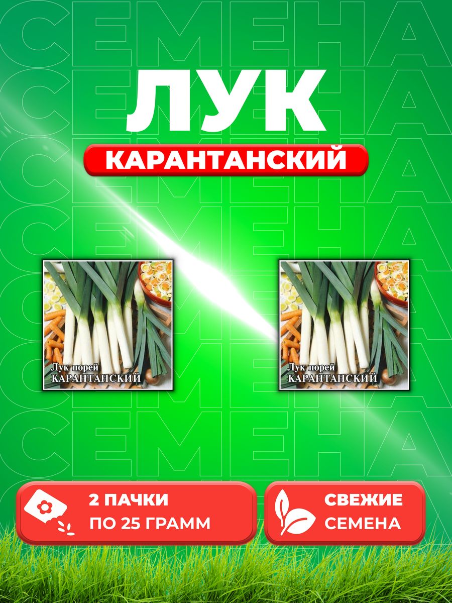 

Семена Лук порей Карантанский 25,0 г (2уп)