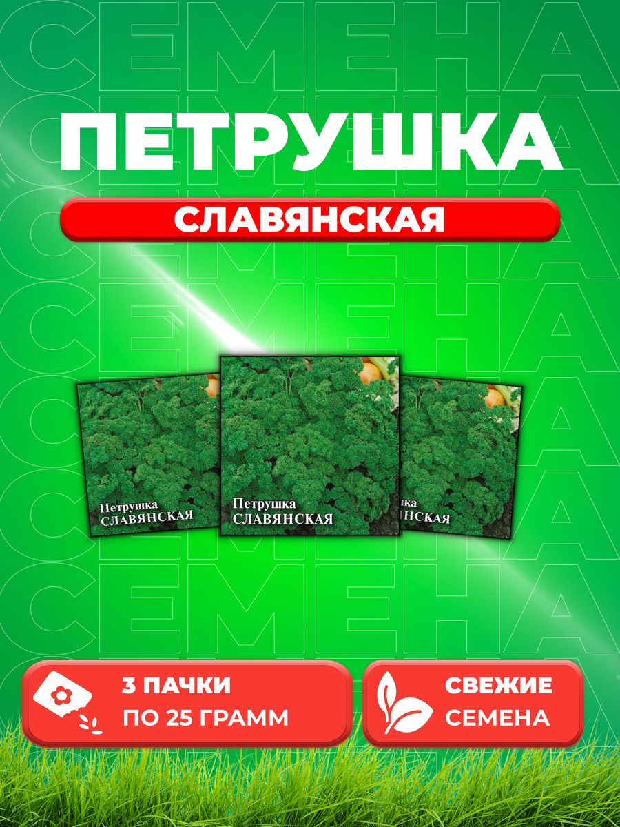 

Семена Петрушка кудрявая Славянская 25,0 г (3уп)