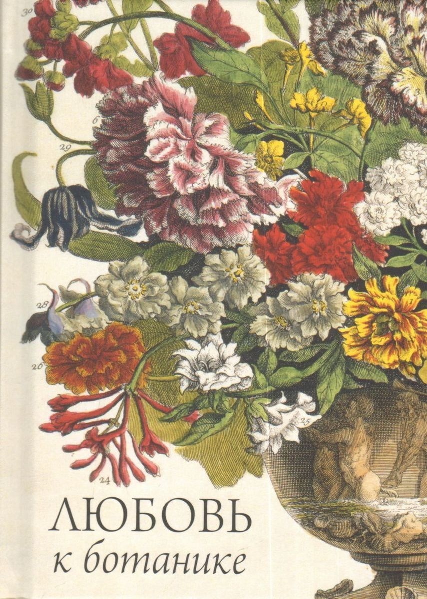 

Любовь к ботанике