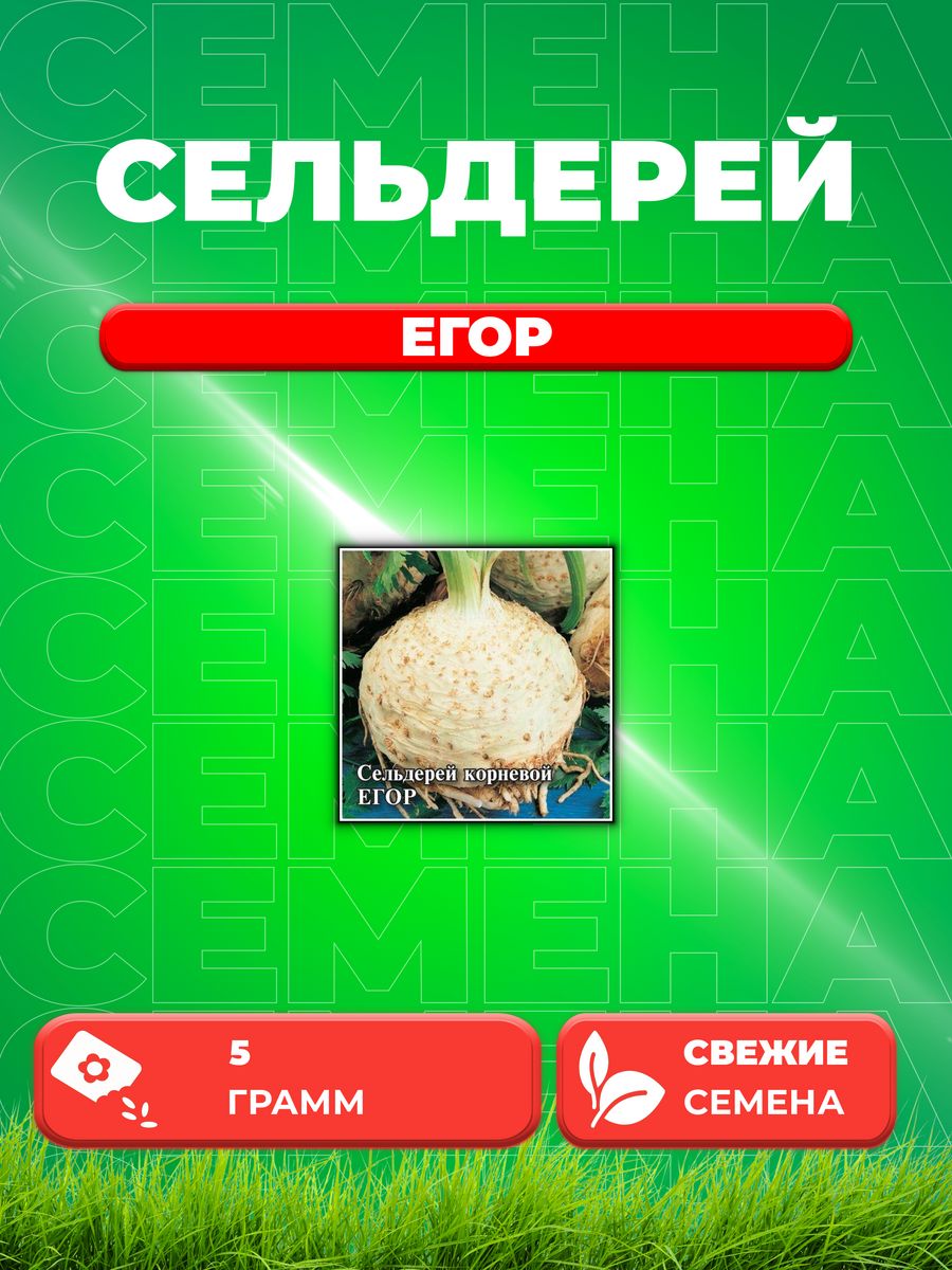 

Семена сельдерей Гавриш Егор 1026996821-1 1 уп.