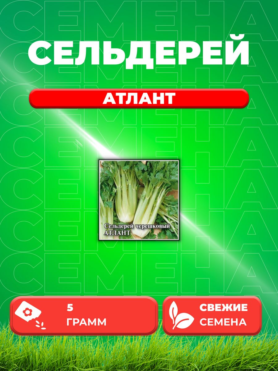 

Семена сельдерей Гавриш Атлант 1026996823-1 1 уп.