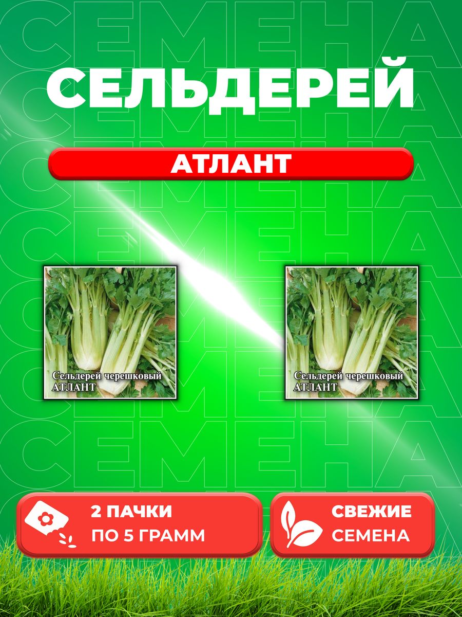 

Семена сельдерей Гавриш Атлант 1026996823-2 2 уп.