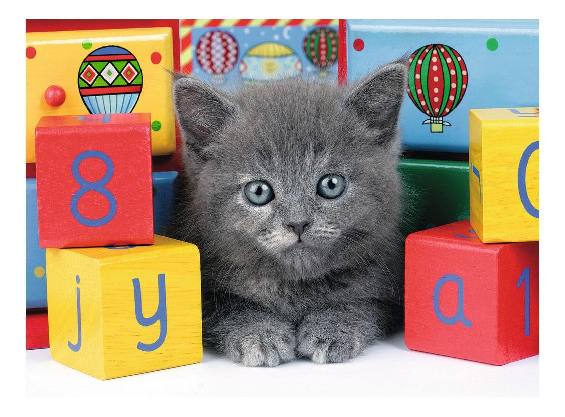 

Пазл Ravensburger кошка 300 деталей, Котенок с кубиками