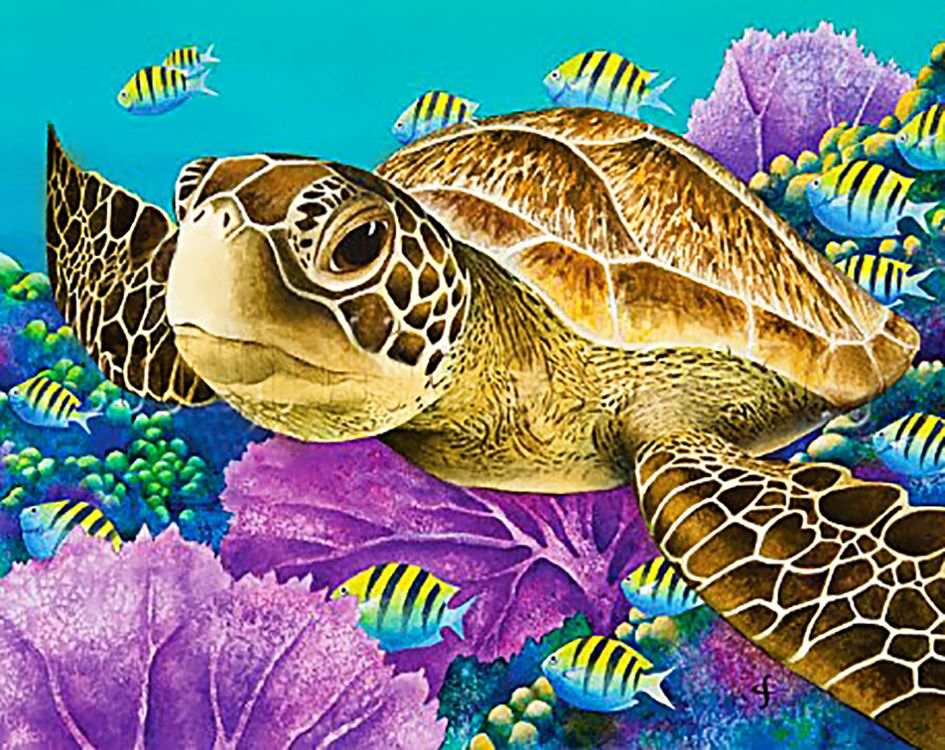 

Алмазная вышивка Гранни Морская черепаха, 38x48 см, Морская черепаха